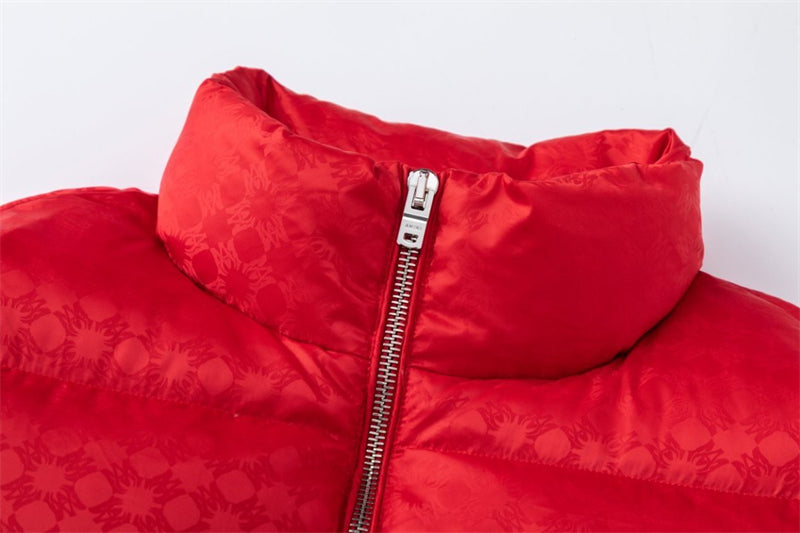 Amiri Fashion Down jacket